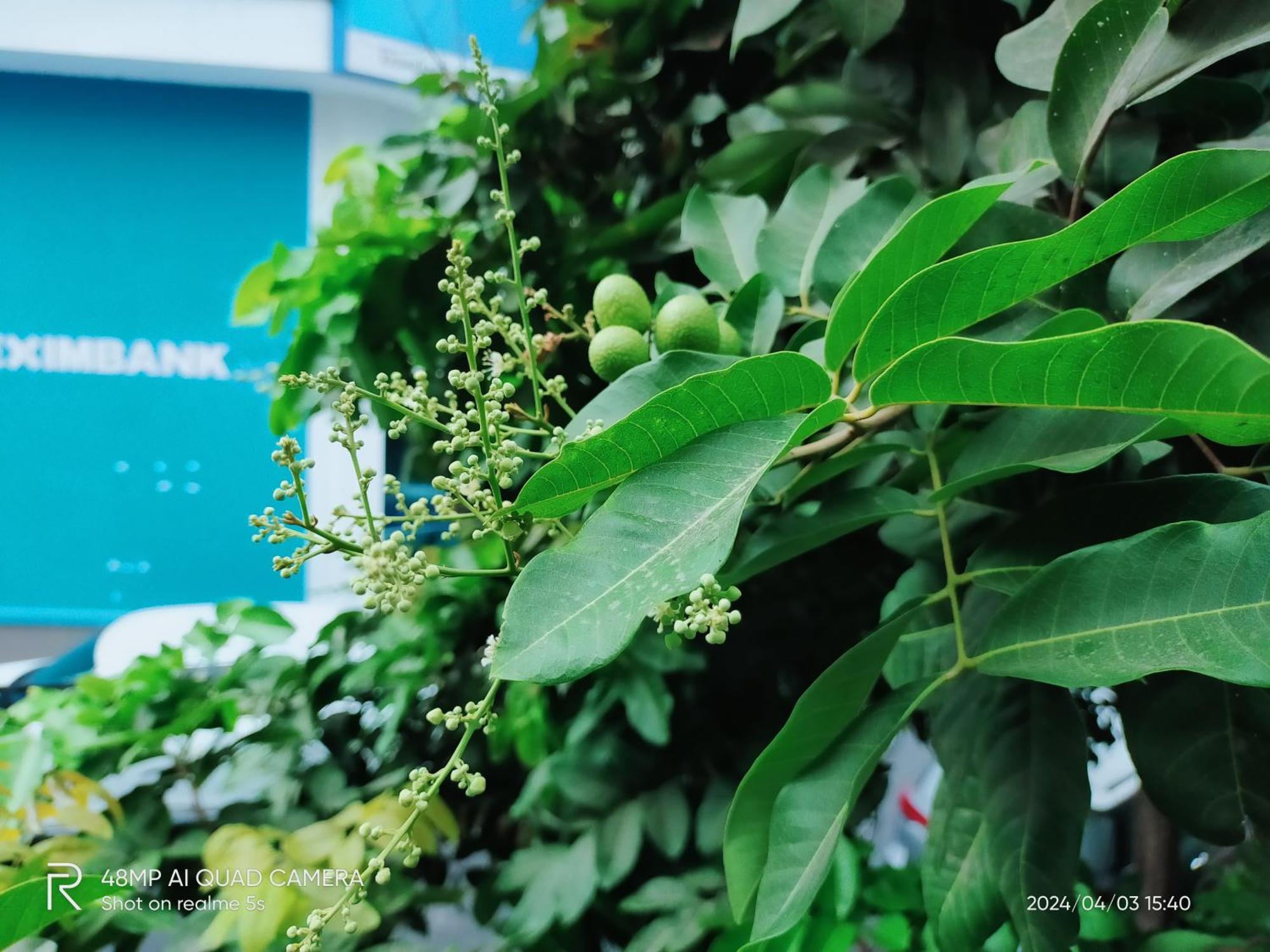 Shusimi House & Boutique Near Tan Son Nhat Airport Ho Chi Minh Zewnętrze zdjęcie